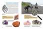 Preview: Entdecke Minerale & Gesteine